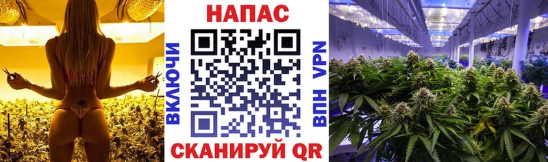 Что такое Новокузнецк КОКАИН  МЕФ  Alpha-PVP  Марихуана  Гашиш 