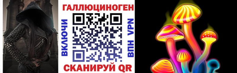 Псилоцибиновые грибы GOLDEN TEACHER  купить наркотик  ОМГ ОМГ ссылки  сайты даркнета какой сайт  Новокузнецк 