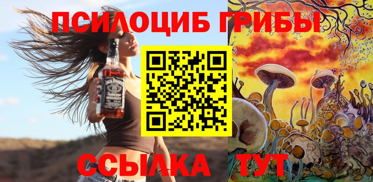 Псилоцибиновые грибы GOLDEN TEACHER  Галлюциногенные грибы MAGIC MUSHROOMS  Вход с VPN  Новокузнецк 