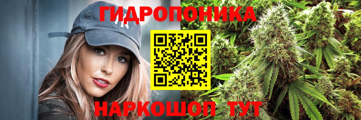 Новокузнецк  Конопля гибрид  МАРИХУАНА индика  Вход с VPN  Шишки марихуана план 